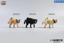 1/6 Scale Pug leg lift