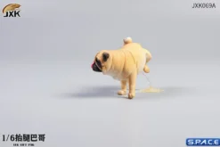 1/6 Scale Pug leg lift