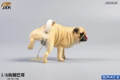 1/6 Scale Pug leg lift