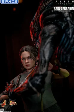 1/6 Scale Rain Carradine Movie Masterpiece MMS793