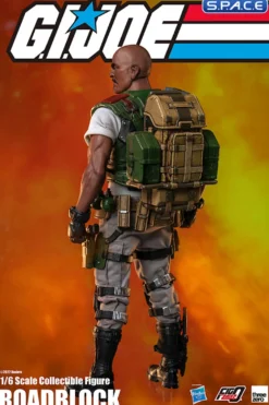 1/6 Scale Roadblock