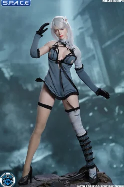 1/6 Scale Robot Girl Character Set