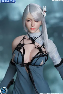 1/6 Scale Robot Girl Character Set