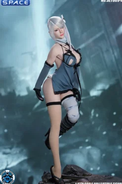 1/6 Scale Robot Girl Character Set