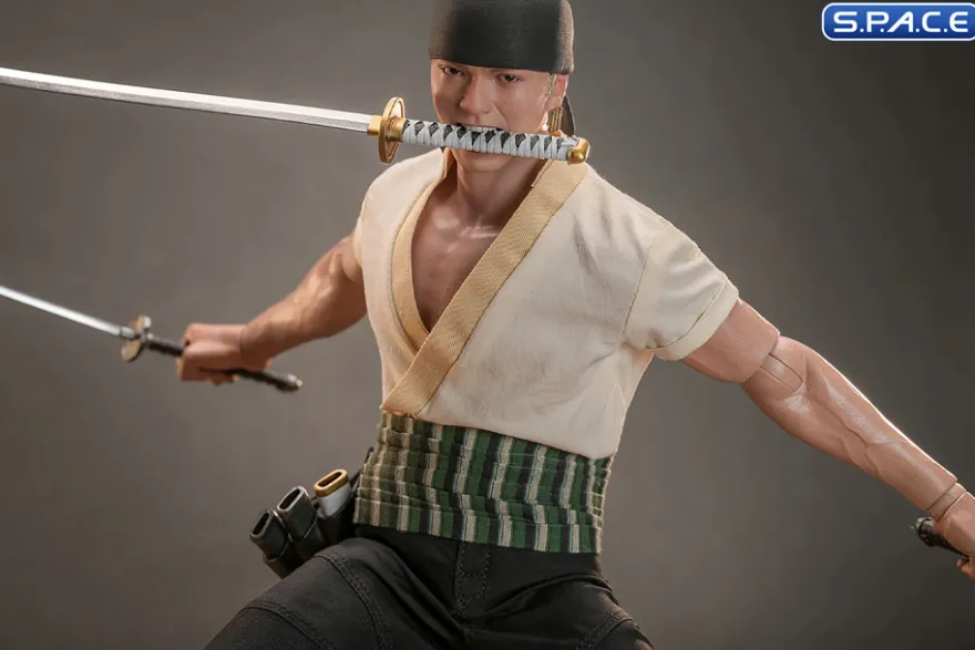1/6 Scale Roronoa Zoro TV Masterpiece TMS110