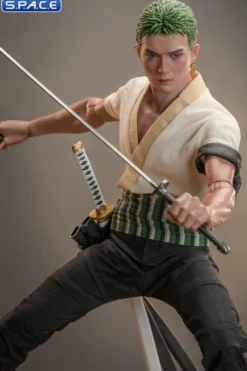 1/6 Scale Roronoa Zoro TV Masterpiece TMS110