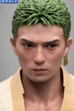 1/6 Scale Roronoa Zoro TV Masterpiece TMS110
