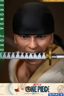 1/6 Scale Roronoa Zoro TV Masterpiece TMS110