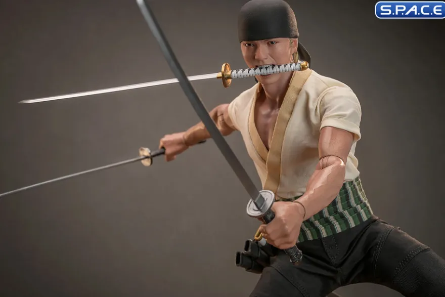 1/6 Scale Roronoa Zoro TV Masterpiece TMS110
