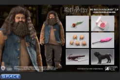 1/6 Scale Rubeus Hagrid 2.0