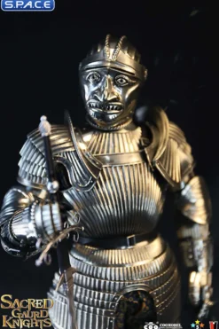 1/6 Scale Sacred black Guard Knight