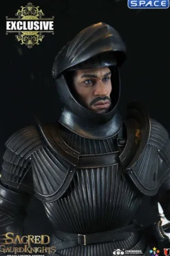 1/6 Scale Sacred black Guard Knight