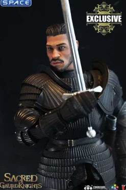 1/6 Scale Sacred black Guard Knight
