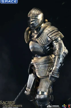 1/6 Scale Sacred Guard Knight