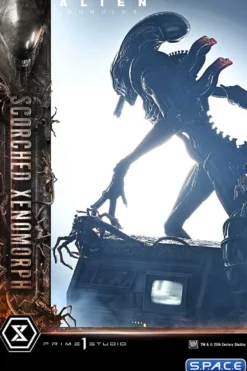 1/3 Scale Scorched Xenomorph Museum Masterline XL Statue (Alien: Romulus)