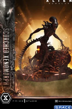 1/3 Scale Scorched Xenomorph Museum Masterline XL Statue (Alien: Romulus)