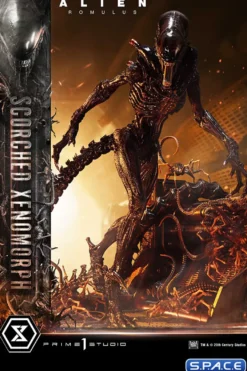 1/3 Scale Scorched Xenomorph Museum Masterline XL Statue (Alien: Romulus)