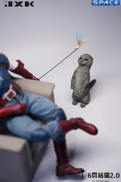 1/6 Scale Scottish Fold