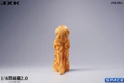 1/6 Scale Scottish Fold