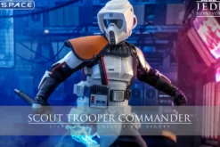 1/6 Scale Scout Trooper Commander Videogame Masterpiece VGM53
