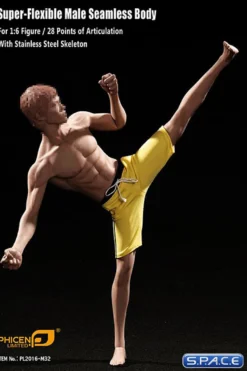 1/6 Scale Seamless Asian Male Body