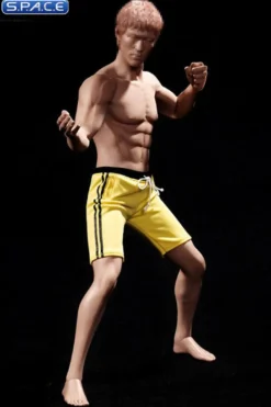 1/6 Scale Seamless Asian Male Body