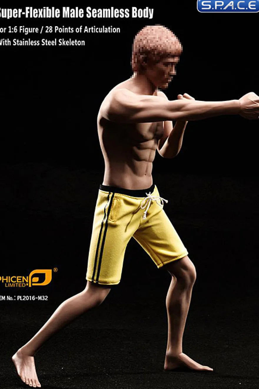 1/6 Scale Seamless Asian Male Body