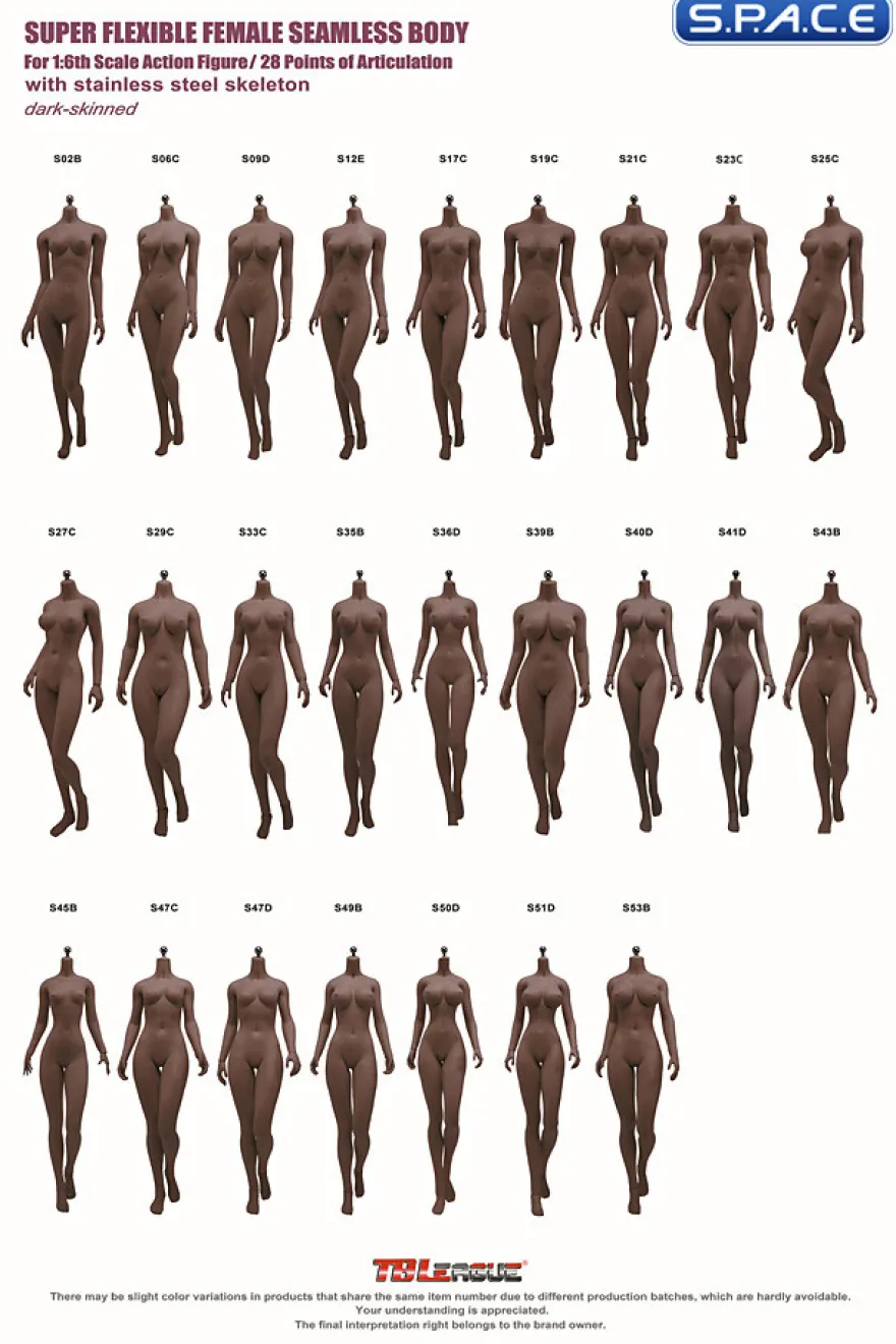 1/6 Scale Seamless female Body S24B / headless