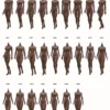 1/6 Scale Seamless female Body S33C / headless