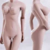 1/6 Scale Seamless Female pale Body