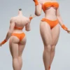 1/6 Scale Seamless Female pale Body CD01