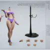 1/6 Scale Seamless Female suntan Body CD02
