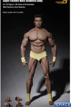 1/6 Scale Seamless Male Body M34