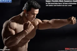 1/6 Scale Seamless Male Body M35
