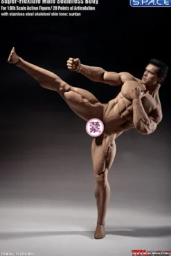 1/6 Scale Seamless Male Body M35