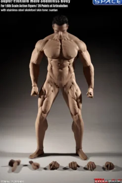 1/6 Scale Seamless Male Body M35
