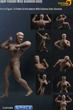1/6 Scale Seamless Male Body M30
