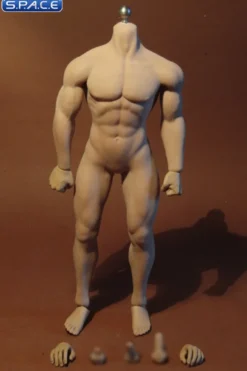 1/6 Scale Seamless Male Body M30