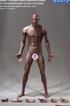 1/6 Scale Seamless Male Body M36