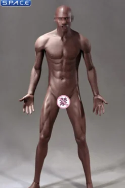 1/6 Scale Seamless Male Body M36