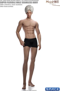 1/6 Scale Seamless Male suntan Body DD02H with head sculpt