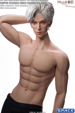 1/6 Scale Seamless Male suntan Body DD02H with head sculpt