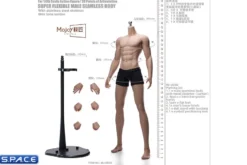 1/6 Scale Seamless Male suntan Body DD02