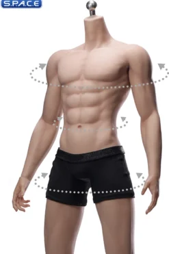 1/6 Scale Seamless Male suntan Body DD02