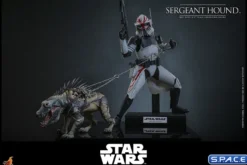 1/6 Scale Sergeant Hound TV Masterpiece TMS167