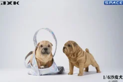 1/6 Scale Shar-Pei