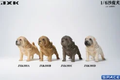 1/6 Scale Shar-Pei
