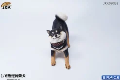 1/6 Scale Shiba Inu »Don't go Home«