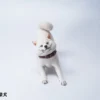 1/6 Scale Shiba Inu »Don't go Home«
