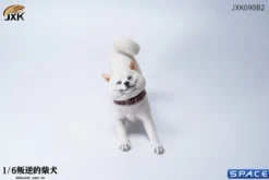 1/6 Scale Shiba Inu »Don't go Home«
